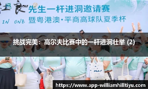 挑战完美：高尔夫比赛中的一杆进洞壮举 (2)